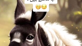 Animal life 5