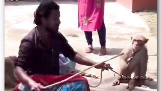 Funny video ???????????? 43