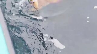 Fishing life 2