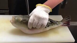 Fugu #Fugu