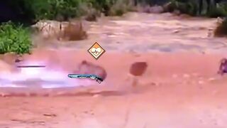 Free fire  funny
