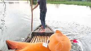 Funny teddy Bier funny video