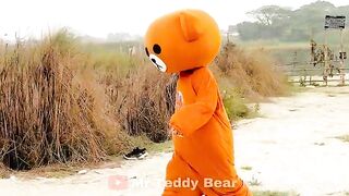 Funny teddy Bier funny video3