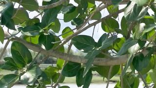 Beauty of village natural time