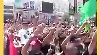 Palestine Protests Over Ismail Haniyeh's Assassination
