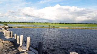 The countryside beauty of Bangladesh
