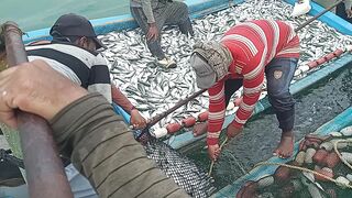Fishing video 3