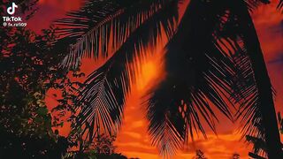 bangladesh 3