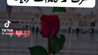 Hazrat Muhammad saw ki hadees 151