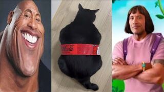 TRY NOT TO LAUGH ???? Best Funny Videos Compilation 2023-2024 ????????????