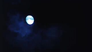 ইউসুফ জুলেখা পর্ব ৯-১০
