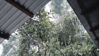 In the beautiful moment of rainy day, jham jham sounds