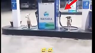 Funny