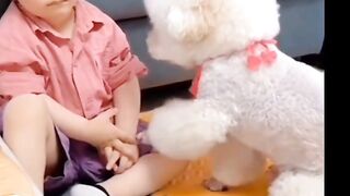 Friendship ,never cry, pets love to human