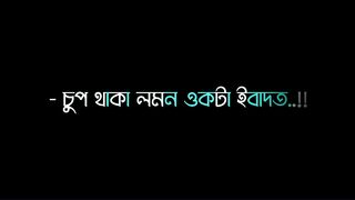 Silent 5