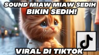 MIAW MIAW CAT VIDEO , TIKTOK , REELS