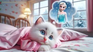 The kitten and her dream dress