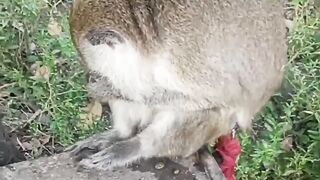 Lagi asik ngaca