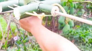Guns made of bamboo 2