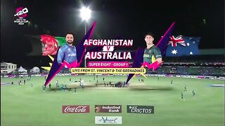 T20 World Cup Cricket