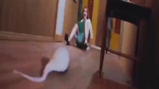 Funny horror clips ????