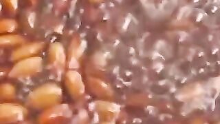 Almond Payesh Recipe????কাঠ বাদাম