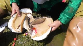 Huge Surprise: Giant Clam Filled with Colorful Pearls