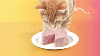 Purina Friskies Wet Cat Food