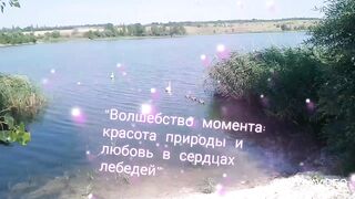 Природа 53