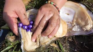 The Unique and Beautiful Purple Pearls Gathered by the Village Blossoms