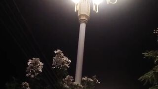 A beautiful night scene