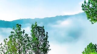 Beauty ???? of Kashmir