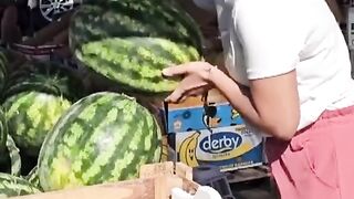 ДЕНЯТ НА ДИНЯТА