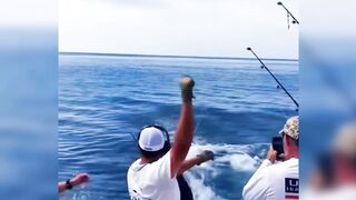 fish attack 2