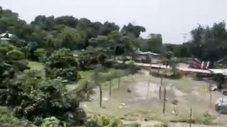 Rubber Dam