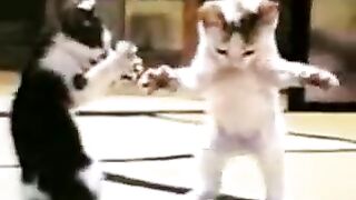 بابا قلبي بابا رد علينه