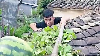 China Not copyright funny video