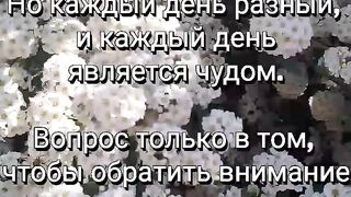 Цитаты 5