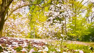 Flowers 28