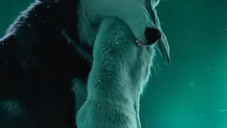 A great and beautiful video