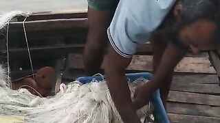 Hilsha fish hunting by net in deep river