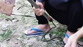 Comedy???? 2