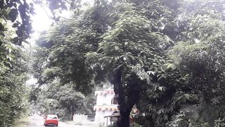 wonderful nature