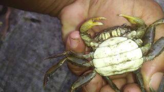 এটিকে গ্রাম বাংলায় কি নামে পরিচয়
