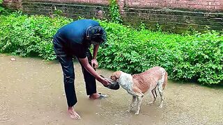 Nature funny video
