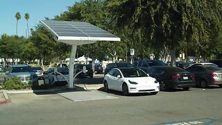 TOP CAR 2025