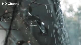 40 Second Relaxing Sleep Rain Music