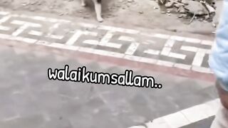Talking Cat 2