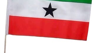 Bendera Somaliland | Flag of Somaliland | Somaliland Flag