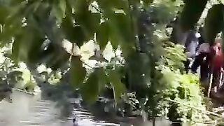 ভিডিও,  -কুমিল্লা থেকে
